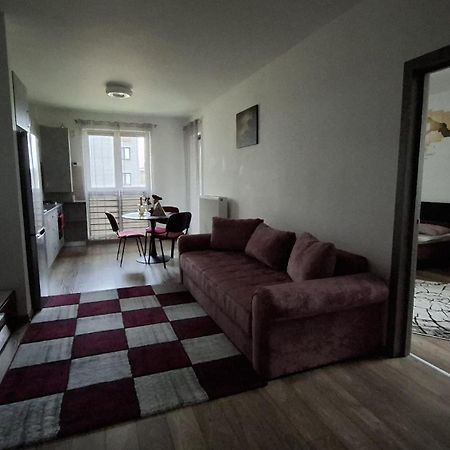 Ludi House Apartment Targu Mures Luaran gambar