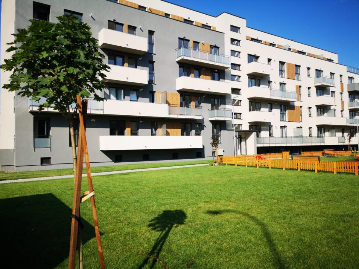 Ludi House Apartment Targu Mures Luaran gambar