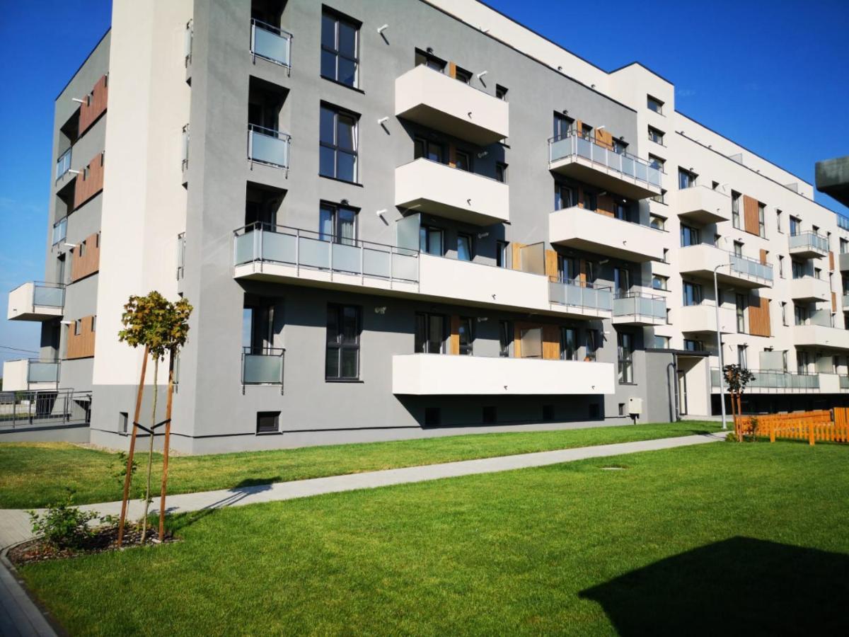 Ludi House Apartment Targu Mures Luaran gambar